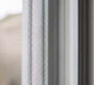 Flyscreens Cleaning